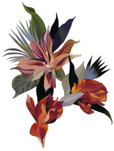 Image inconnue - Unbekannt Unbekannt
